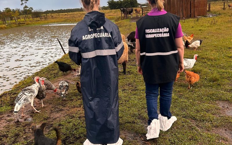 Rio Grande do Sul monitora pessoas que tiveram contato com aves infectadas pela gripe aviária