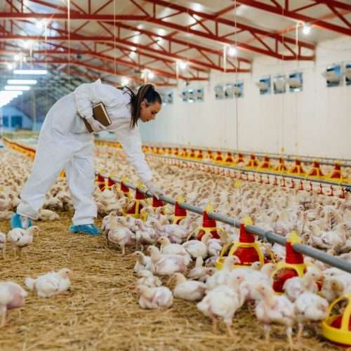Governo e Congresso querem fundo para indenização por crise sanitária