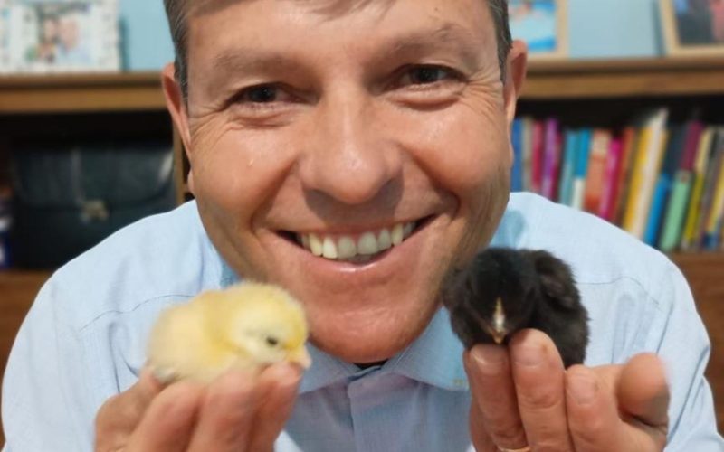 Viralizou! Nascimento de pintinhos gêmeos surpreende engenheiro: ‘Nunca vi isso na vida’