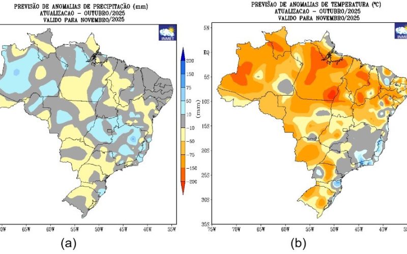 Previsão do tempo: veja como será o clima em novembro