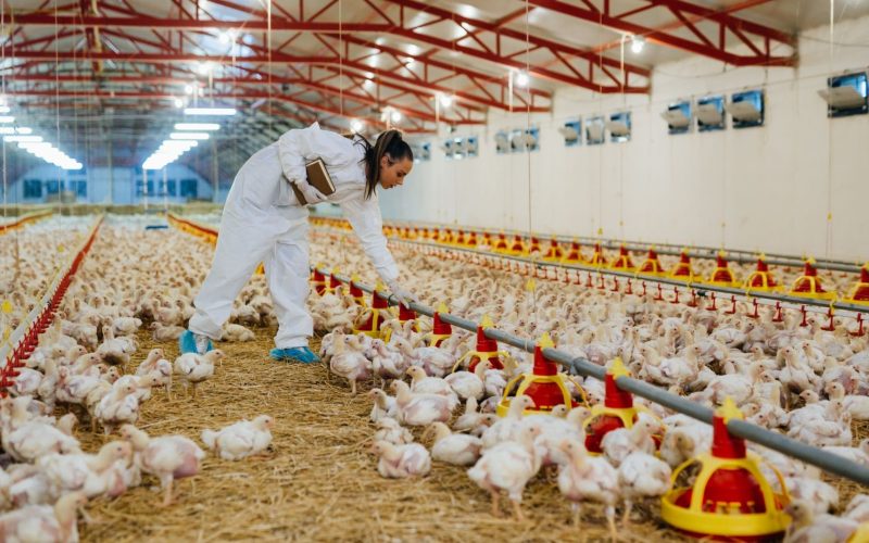Governo e Congresso querem fundo para indenização por crise sanitária