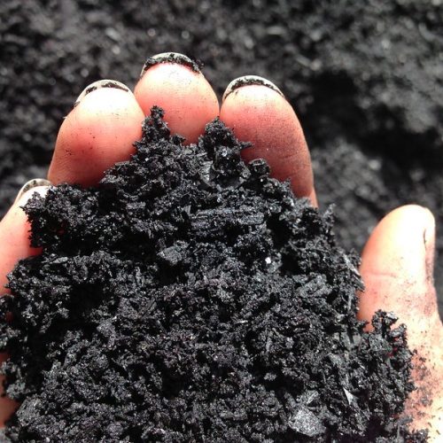 NetZero fará biochar a partir da palha e do bagaço da cana