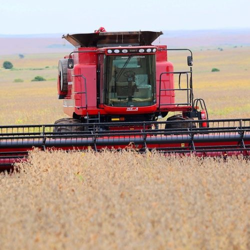 Expectativa com demanda por soja dos EUA faz preço subir em Chicago