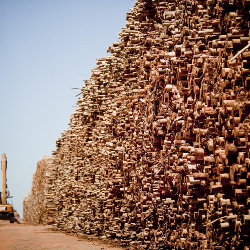 Resíduos da produção de celulose têm novo uso em fazenda: economizar água