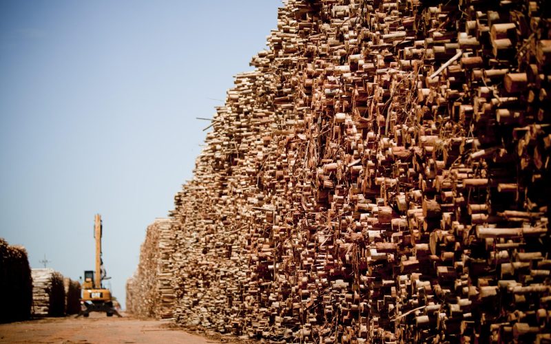 Resíduos da produção de celulose têm novo uso em fazenda: economizar água