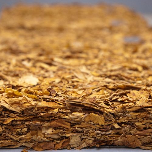 Faturamento com exportações de tabaco deve superar US$ 3 bilhões em 2025