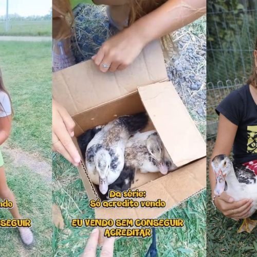 Menina ganha R$ 50 para comprar maquiagem e aparece com pato em casa