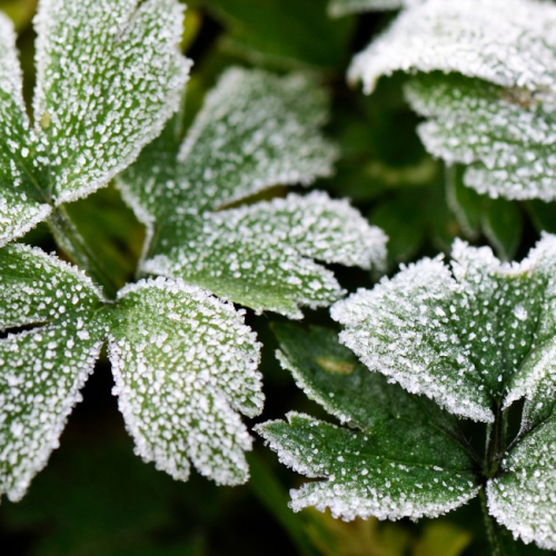 Frio derruba temperaturas no Centro-Sul