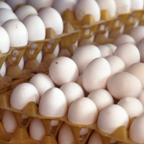 Preços dos ovos sobem quase 60% em uma semana