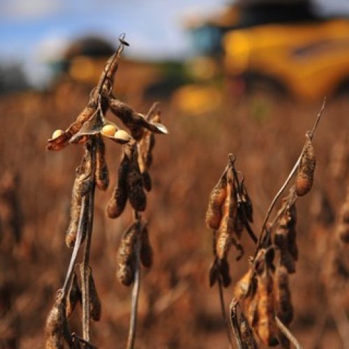 Sem avanço no Congresso, mudanças na MP da renegociação de dívidas rurais podem atrasar