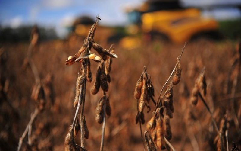 Sem avanço no Congresso, mudanças na MP da renegociação de dívidas rurais podem atrasar