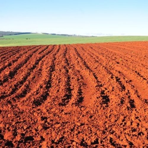 Comissão do Senado aprova projeto de regularização de terras públicas em área de fronteira