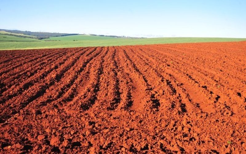 Comissão do Senado aprova projeto de regularização de terras públicas em área de fronteira