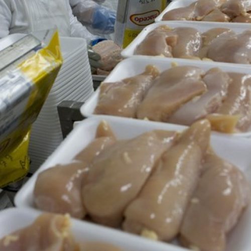 Gripe aviária pode tirar R$ 1 bilhão das exportações de carne de frango