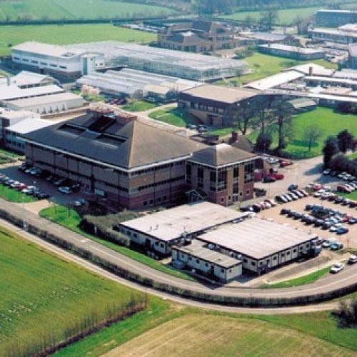 Syngenta vê defensivos genéricos da China elevando concorrência no Brasil