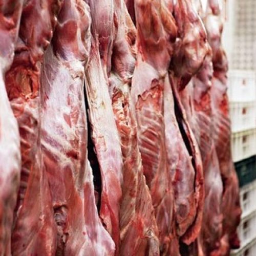 Em meio a tarifaço dos EUA, Brasil foca  abertura do mercado japonês à carne