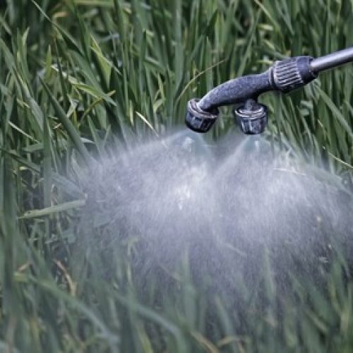 Bayer propõe acordo bilionário sobre glifosato para resolver queixas nos EUA