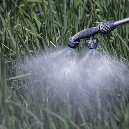 Brasil aprova 122 agrotóxicos e 40 produtos técnicos; veja moléculas mais utilizadas