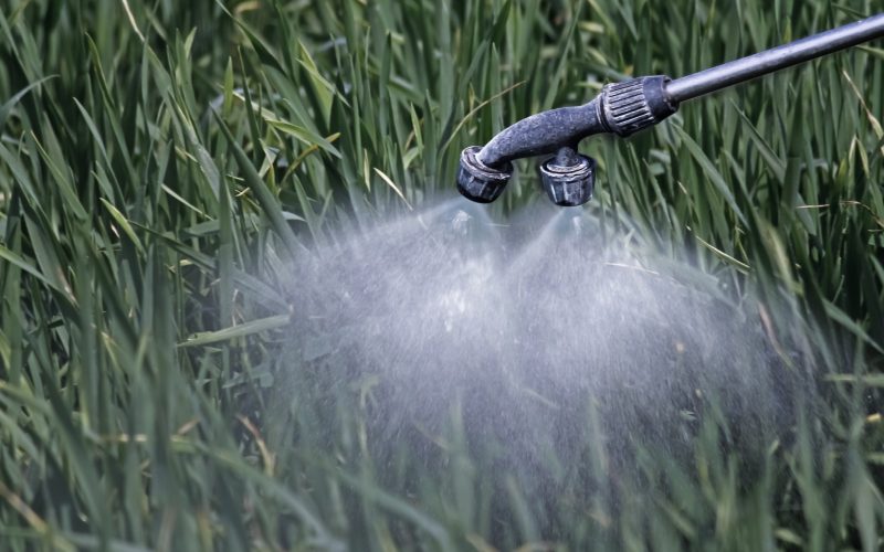 Brasil aprova 122 agrotóxicos e 40 produtos técnicos; veja moléculas mais utilizadas