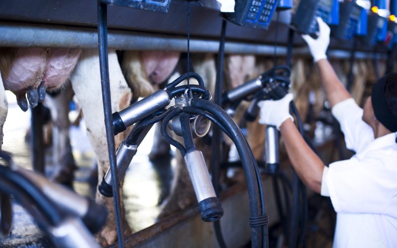 Rio Grande do Sul anuncia compra pública de 2,2 mil toneladas de leite