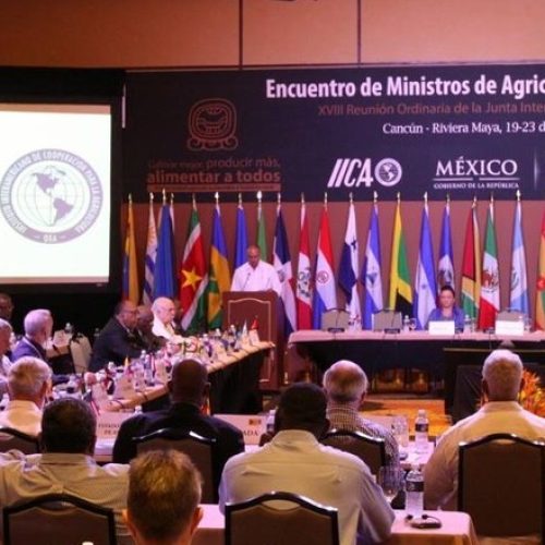 Disputa técnica e política em órgão agrícola divide países