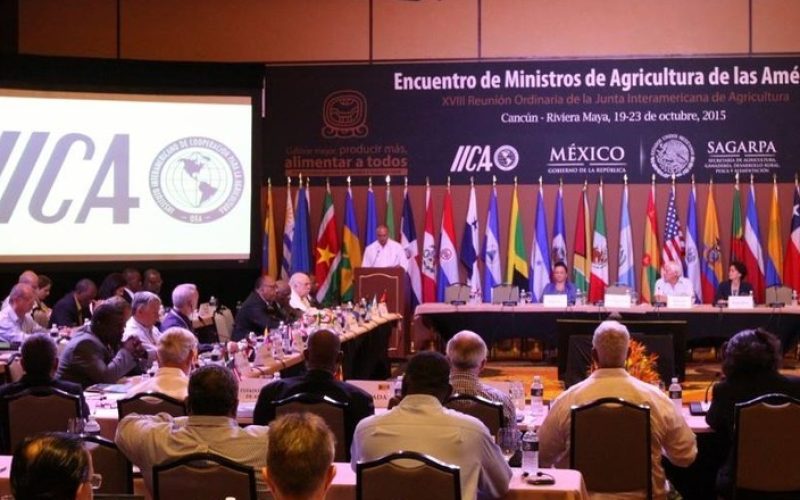 Disputa técnica e política em órgão agrícola divide países