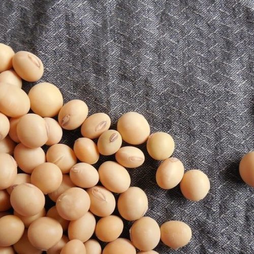 Contratos futuros de grãos abrem o dia em queda na bolsa de Chicago