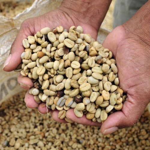 Café cai 5% em Nova York com isenção do grão brasileiro exportado aos EUA