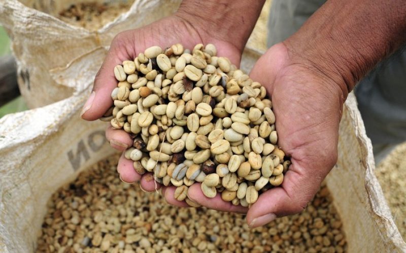Café cai 5% em Nova York com isenção do grão brasileiro exportado aos EUA