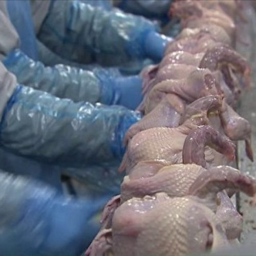 México aumenta lista de países que deixam de importar frango do Brasil