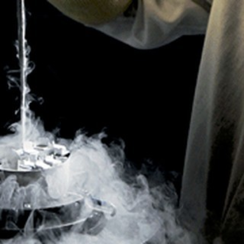 Mercado de genética bovina vive momento de retomada