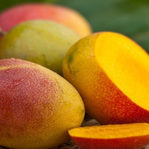 Exportação de manga cresce apesar de tarifaço dos EUA; ouça o comentário