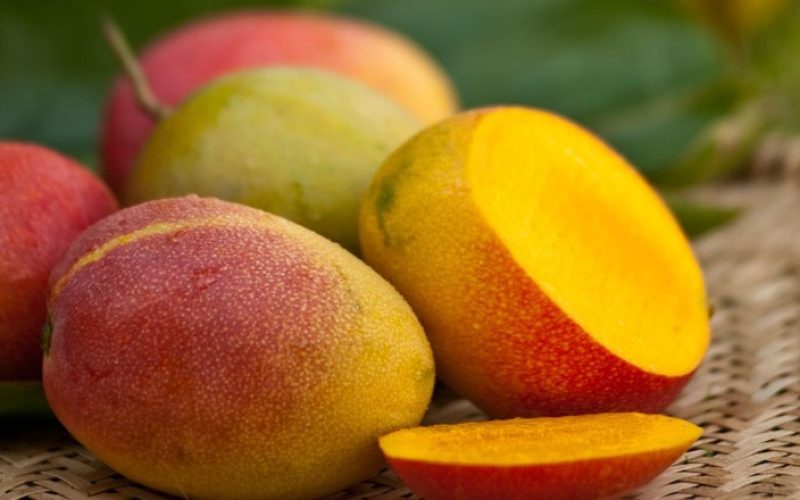 Exportação de manga cresce apesar de tarifaço dos EUA; ouça o comentário