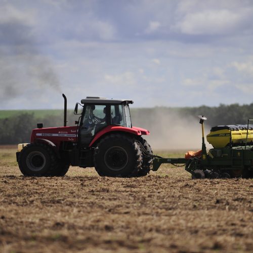 Plantio de soja chega a 93% da área estimada no Rio Grande do Sul, diz Emater/RS