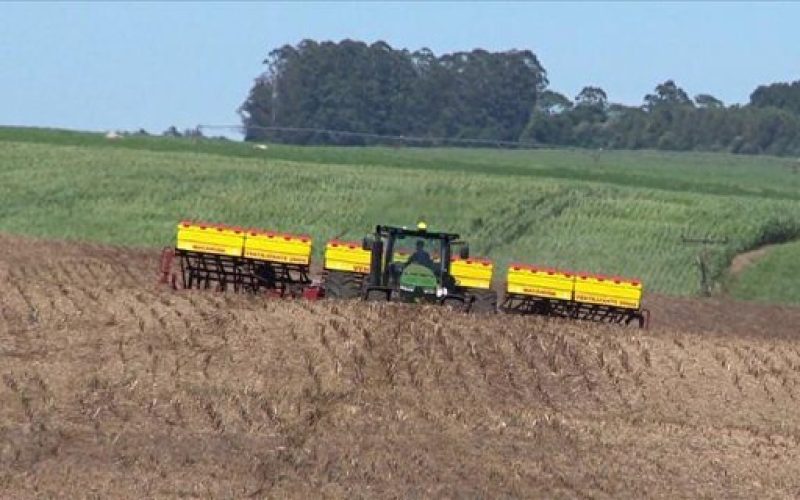 Com produtor de soja cauteloso, área de plantio deve crescer em ritmo mais lento