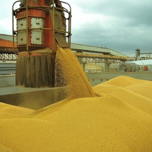 Produção de soja é estimada em 178,5 milhões de toneladas pela Abiove