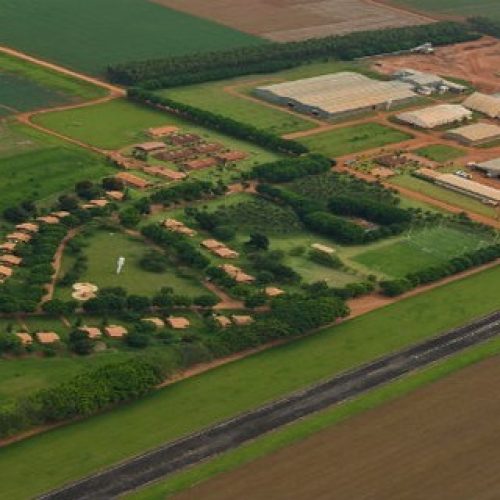 SLC amplia área plantada em 13,6% na safra 2025/26, para 836,1 mil hectares