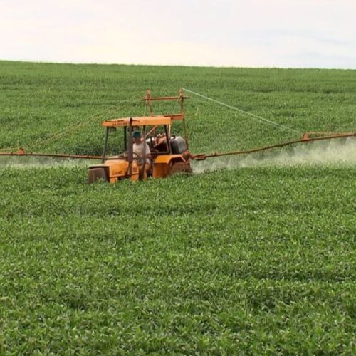 Plano do governo prevê retirar do mercado agrotóxicos ‘ultraperigosos’