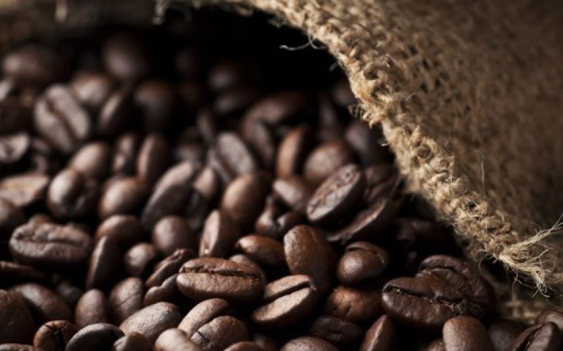 Cooperativa busca solução para preservar exportações de café aos EUA