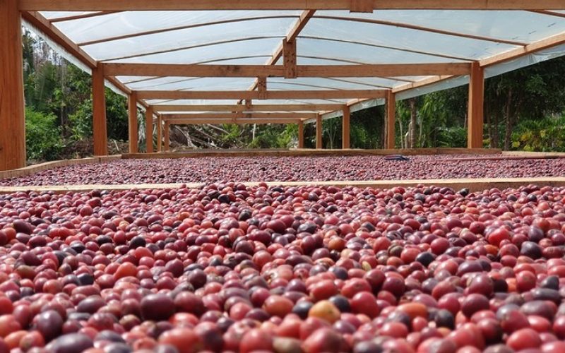Bolsas de commodities em Nova York e Chicago não funcionam hoje