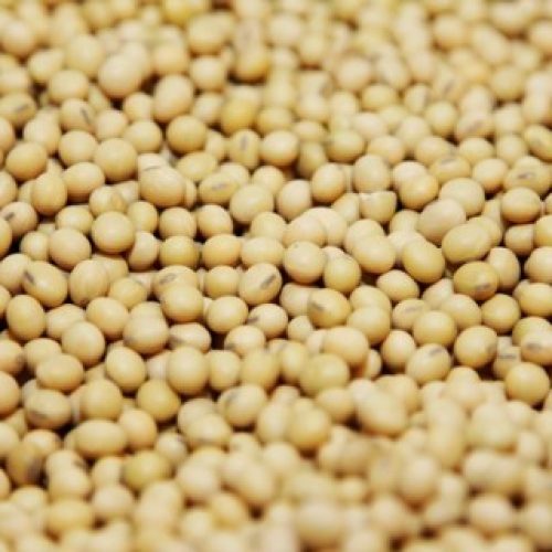 Soja cai em Chicago após novo capítulo de tensão comercial entre EUA e China