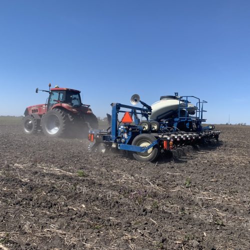 China deve nortear plantio de grãos nos EUA na nova safra