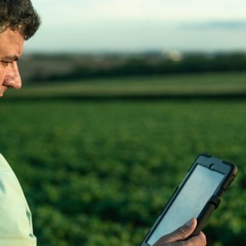 Black Friday: agro ainda pouco explora oportunidades de negócio