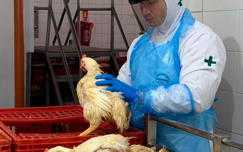 Ministério da Agricultura convoca 440 aprovados em concurso para a defesa agropecuária