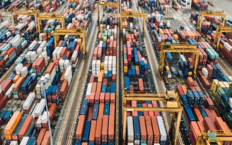Gripe aviária: Agricultura autoriza frigoríficos sob embargo a estocarem frango em contêiner