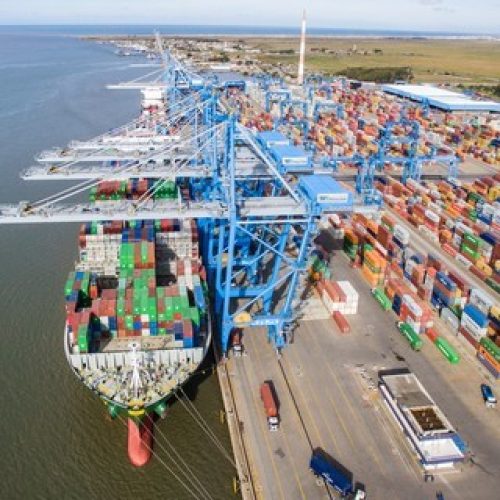 Exportações de carne bovina para países árabes bateram recorde em 2025