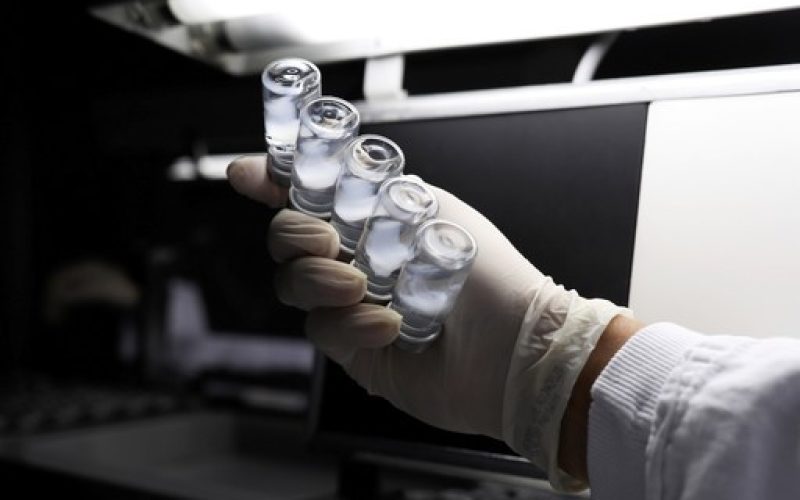 Existe vacina para gripe aviária? Especialista explica como estão as pesquisas