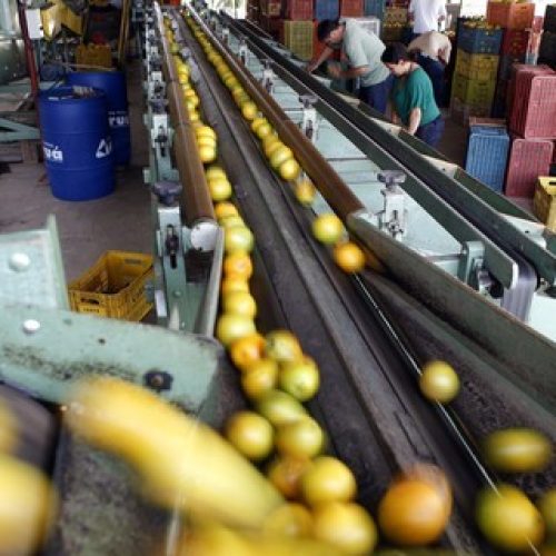 Produção agroindustrial cai após dois meses de expansão