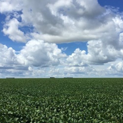 Terra Santa detecta diferença de 4 mil hectares em matrículas de suas propriedades