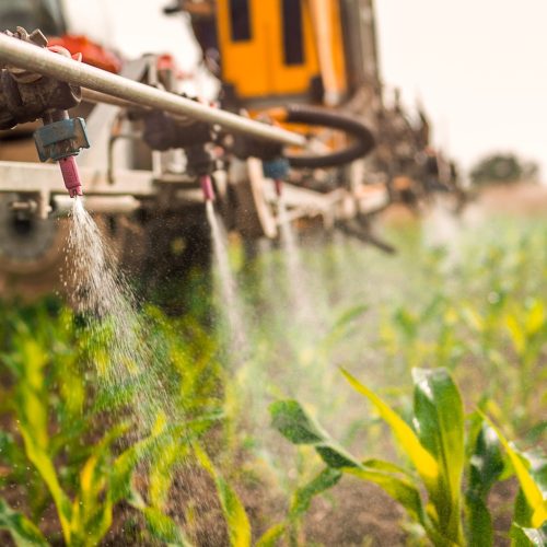 Quais são e para que servem os agrotóxicos banidos pela França